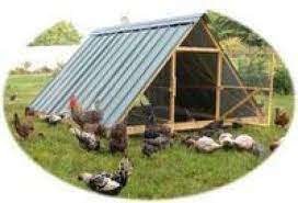 if you want to raise chickens here s a simple idea for a chicken house easy to build and maintain chicken easy diy chicken coop chicken diy easy chicken coop