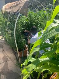 Michael Declercq LLC