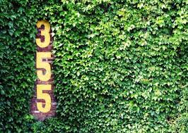 We did not find results for: 355 Wrigley Field Wrigley Field Wrigley Field Ivy Wrigley