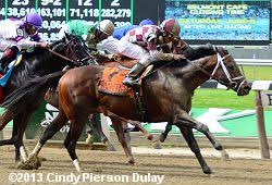 2013 Belmont Undercard Stakes Results