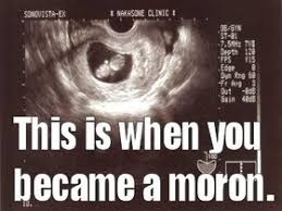 Bildergebnis für moron