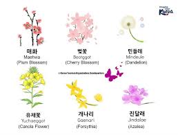 Find pictures of over 1,000 flowers with names on my pinterest board. Korean Flowers Names Hedgers Abroad