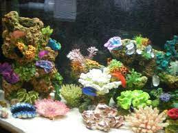 Red brain coral, a snail, barnacles and other coral decorate this small rock. Top Fin Stone Coral Bubbler Aquarium Ornament Aquarium Views