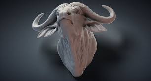 Cape Buffalo Animal Head 3d Model Turbosquid 1306166 Buffalo Animal Animal Heads Animals