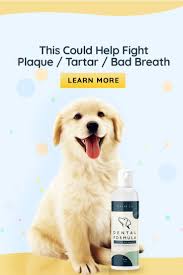 This Could Help Fight Plaque Tartar Bad Breath In 2020 Dog Care Tips Dog Mom Humor Dog Care