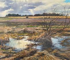 Christopher Leeper (@cleeper) • Instagram photos and videos