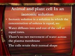 We did not find results for: The Effects Of Hypotonic Hypertonic And Isotonic