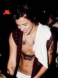 Pin By Rachel Scallo On D I R E C T I O N Harry Styles Shirtless Harry Styles Harry Styles Pictures
