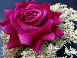 Hair Accessories Artificial Red Rose Flower Hair Pin Juda Bun Hair Style Real Rose Look Red Hair Wedding Bride Bridesmaid Accessories Red Rose Flower Red Roses