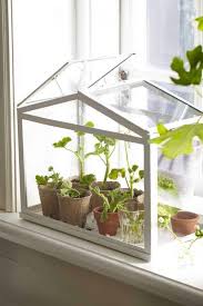 Cd cases open and close, how smart! Greenhouse Kits Mini Small Diy Greenhouses Family Food Garden