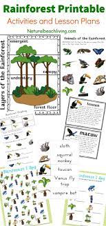 The Best Rainforest Activities For Kids Theme Natural Beach Living Rainforest Activities Rainforest Crafts Rainforest Animals