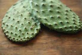 The nopal was very present at the beginning of the aztec civilization, to the point that the war banners of the aztec army showed an eagle perched on a plant of nopal and devouring a snake. 6 Benefits Of Cactus Fruit Also Known As Prickly Pear Livestrong Com Cactus Recipe Cactus Leaves Prickly Pear