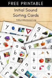 Six per page (except 12 apple leaves), cut apart. Free Montessori Printable Initial Sound Sorting Cards Trillium Montessori