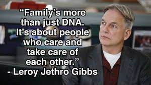 Notitle Naike Bolsing Bolsing Naike Notitle Ncis Ncis Funny Tv Quotes