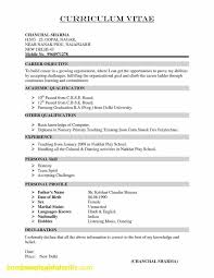 software engineering resume objective