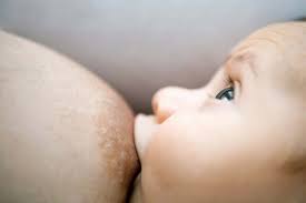 From the age of 6 months, children should begin eating safe and adequate complementary foods while continuing to breastfeed for up to 2 years and beyond. Your Boobs Start To Eat Themselves After Breastfeeding Is Over New Scientist