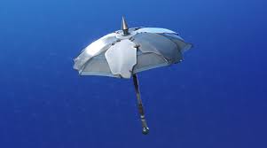 To claim the victory umbrella for fortnite: How To Build Your Own Umbrella Glider In Fortnite Chapter 2 Season 3 Gamepur