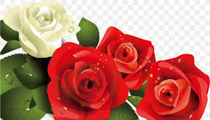 Maybe you would like to learn more about one of these? Birthday Cake Beach Rose Greeting Card Happy Birthday To You Png 1213x696px Birthday Cake Artificial Flower