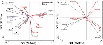 Barshad's method of calculating clay formation from the chemical analyses of the whole soil, the clay fraction, the nonelay fraction, and the mechanical analysis was applied to a large number of soils to determine the effect of climate, topography, parent material, vegetation and time on amount of clay formation. Soil Properties Bacterial And Fungal Community Compositions And The Key Factors After 5 Year Continuous Monocropping Of Three Minor Crops