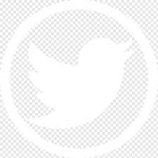 Discover 80 twitter icon designs on dribbble. Twitter Icon Twitter Icon Png White Circle Png Download 2076x2077 522430 Png Image Pngjoy