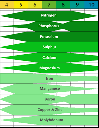 Ph Levels For Plants Garden Design Ideas