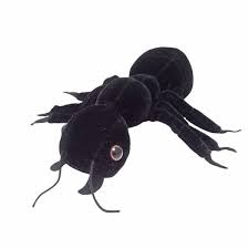 Pin On Halloween Insect Decor
