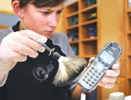 Missoula students get hands-on crime scene investigation lesson