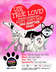 We would recommend having your pet seen by your regular licensed. Adopt Don T Shop Adoption Event Helping Paws Animal Shelter