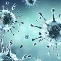 Check spelling or type a new query. Coronavirus Pressmitteilungen Landkreis Kelheim
