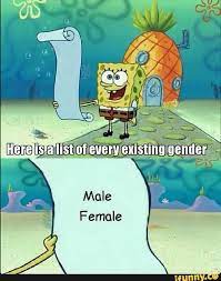 There Are Only 2 Genders Know Your Meme