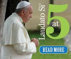 Discovering ecological conversion in the spirit of Laudato Si'