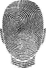 Factions Speak Louder Than Herds - Musa al-Gharbi