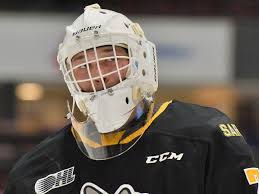 The national hockey league is a professional ice hockey league in north america comprising 32 teams, 25 in the united states and 7 in canada. The Top 10 Goalies For The 2021 Nhl Draft The Hockey News On Sports Illustrated