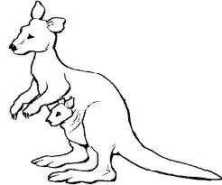 Kangaroo Coloring Page Animal Projects Penguin Coloring Summer Camps For Teens