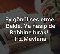 Nasip Ile Ilgili Resimli Sozler Guzel Sozler Anlamli Sozler Ask Sozleri Resimli Sozler Cool Words Islamic Quotes Quotes