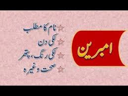 Ambreen Name Meaning In Urdu Ambreen Naam Ka Matlab Names With Meaning Names Meant To Be