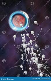 Sperm and Egg 3D Illustration Stock Illustration - Illustration of miracle,  female: 157713279