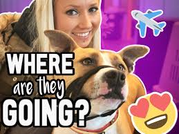 Viktor Larkhill Extreme Rescue