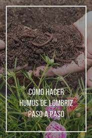 El humus de lombriz o vermicompost es el mejor abono para cualquier huerto, y es 100% natural. Como Hacer Humus De Lombriz Paso A Paso