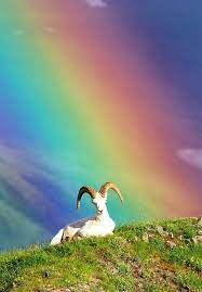 touches of color おしゃれまとめの人気アイデア pinterest brandy morrison 田舎 風景 風景 宇宙 絵