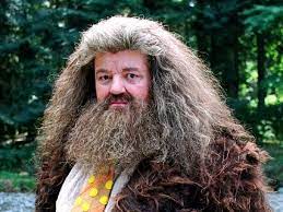 Harry Potter actor Robbie Coltrane's career from Cracker to Hagrid and  James Bond cameos - Irish Mirror Online