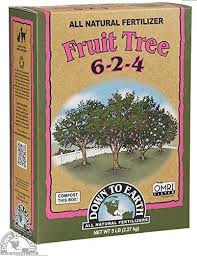 The main thing is to follow the. 11 Best Fruit Tree Fertilizers When To Fertilize Fruit Trees