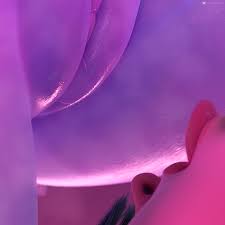 Rule34 - If it exists, there is porn of it  widowmaker  6771865