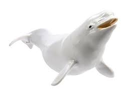 Safari Ltd Monterey Bay Aquarium Sea Life Collection Belu Https Www Amazon Com Dp B0009jk9t4 Ref Cm Sw R Pi Dp X Monterey Bay Aquarium Beluga Whale Beluga