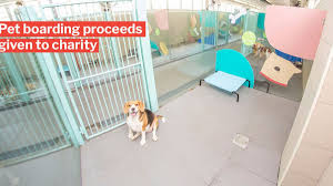 Maybe you would like to learn more about one of these? Pet Boarding Near Me Cheap Online