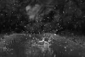 Black White Images Rain Droplets In Black And White Black And White Capture Of Water Droplets In Slow Motion Black And White Black And White Photography Droplets