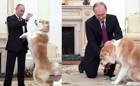 Video Kremlin Kopek Havlamasiyla Sarsildi Putin In Japon Korumasi