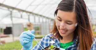 Cơ hội cho nữ giới yêu thích khối ngành STEM