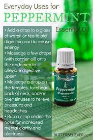 Everyday Essential Oils Peppermint Butter Believer Peppermint Essential Oil Uses Peppermint Oil Benefits Peppermint Essential Oil