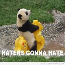 Lying cute young giant panda feeding feeding bark of tree. Funny Panda Quotes Quotesgram